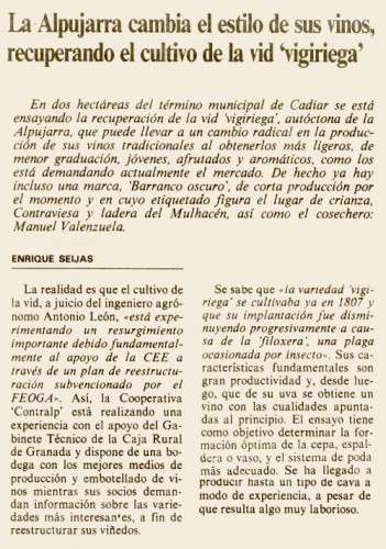 La Alpujarra cambia el estilo de sus vinos recuperando el cultivo de la vid Vigiriega (Ideal, 28/05/1990)