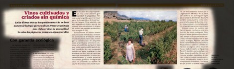 Vinos cultivados y criados sin química (Integral 183, 03/1995)