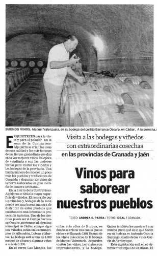 Vinos para saborear nuestros pueblos | Ideal