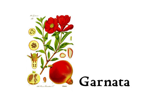 Garnata