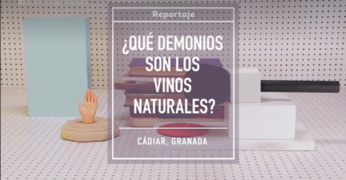 Vinos Naturales | El Comidista TV - Barranco Oscuro